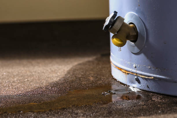 Best Water damage restoration cost  in Grand Ledge, MI