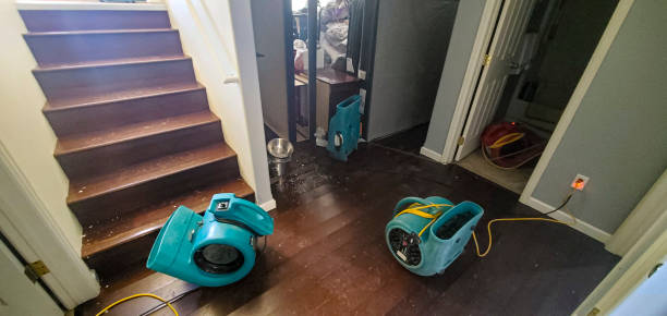 Best Sewage cleanup and water damage restoration  in Grand Ledge, MI