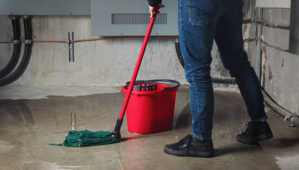 Best Carpet water damage restoration  in Grand Ledge, MI