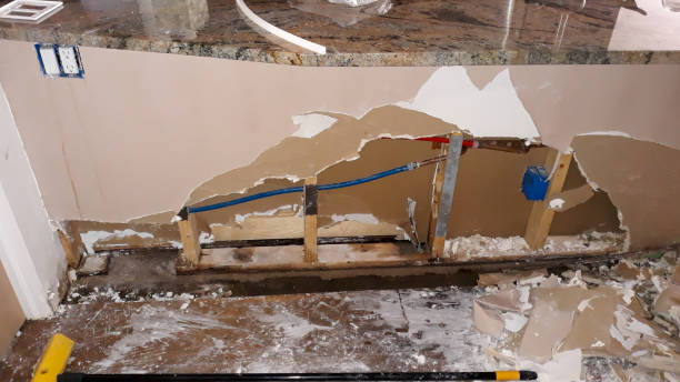 Best Emergency water damage restoration  in Grand Ledge, MI