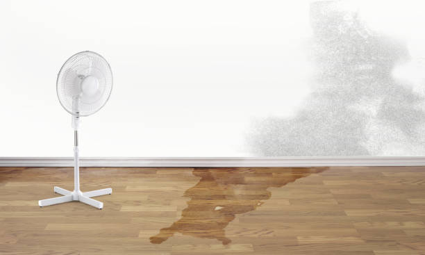 Best Fire Damage Restoration  in Grand Ledge, MI