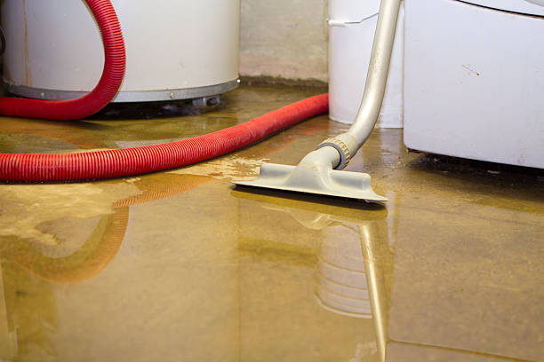 Best 24/7 water damage repair  in Grand Ledge, MI