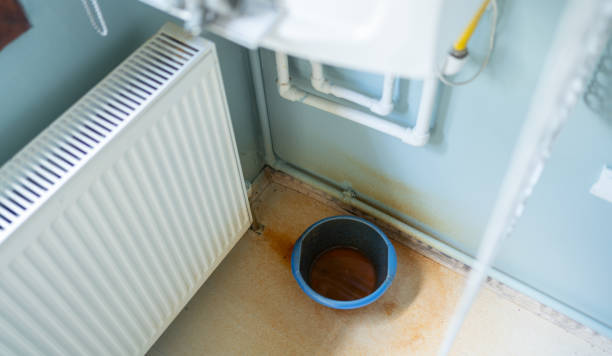 Best Ceiling water damage repair  in Grand Ledge, MI