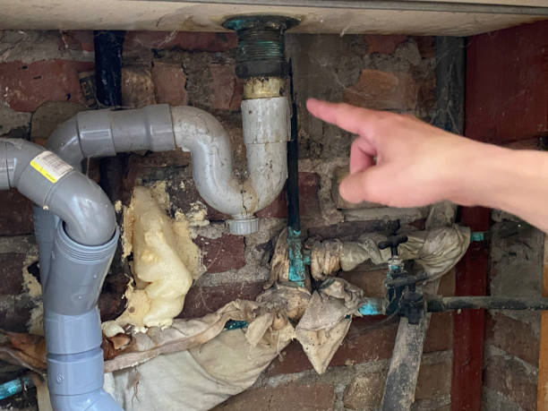 Best Flood damage cleanup  in Grand Ledge, MI