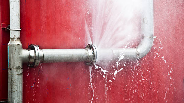 Best Water damage mitigation services  in Grand Ledge, MI